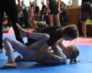 bjj-002