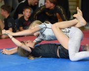 bjj-008
