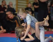 bjj-010