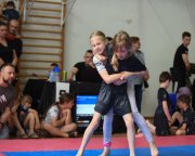 bjj-011