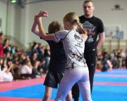 bjj-012
