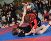 bjj-042