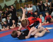 bjj-043