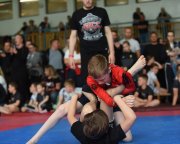 bjj-044