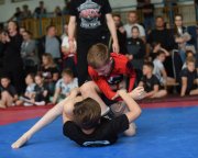 bjj-045
