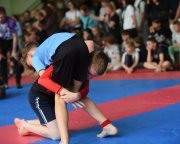 bjj-058