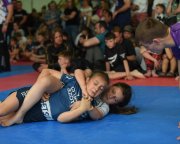 bjj-066