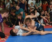 bjj-071