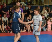 bjj-073