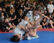 bjj-075