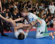 bjj-076