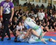 bjj-077