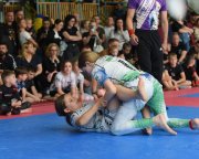 bjj-079