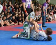bjj-080
