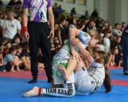 bjj-081