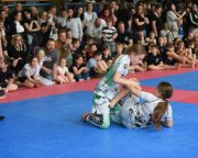 bjj-082