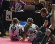 bjj-085