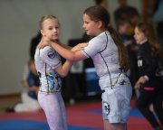 bjj-093